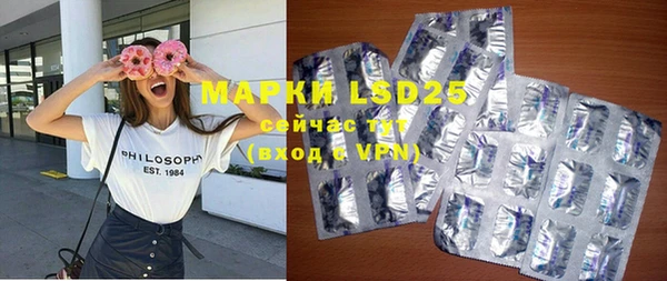 прущие грибы Коряжма