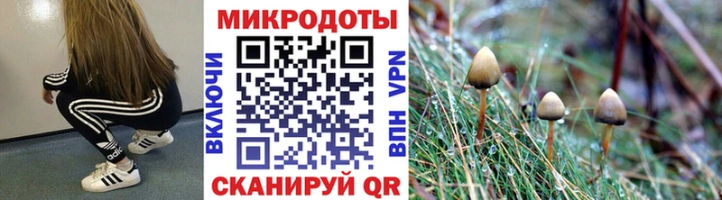 Купить где  Пятигорск  Галлюциногенные грибы MAGIC MUSHROOMS 